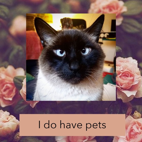 Welcome! - Picture 5 of 6